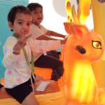 activity